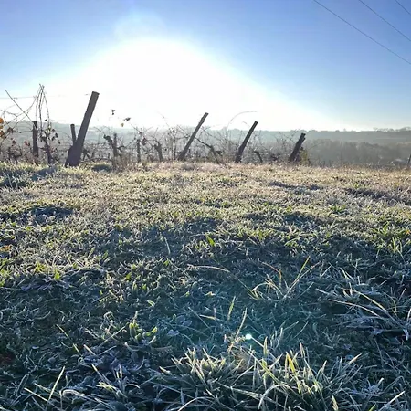 Дом отдыха Lancien Chai Laroque (Gironde)