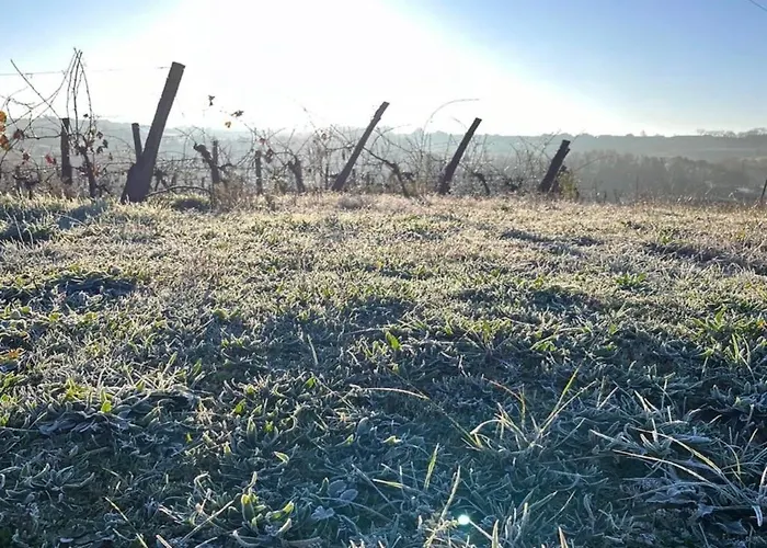 Vakantiehuis Lancien Chai Laroque (Gironde)