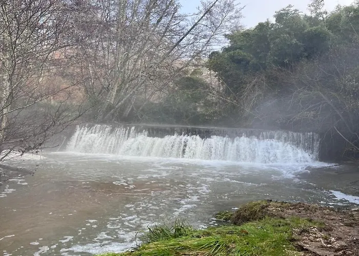 Lancien Chai * Laroque (Gironde)